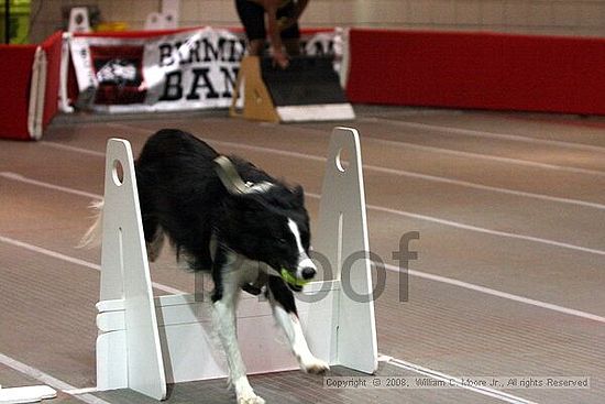Birmingham Bandits Summer Shootout<br />June 28th, 2008<br />Bessemer Civic Center<br />Bessemer Al