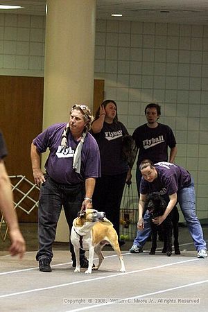 Birmingham Bandits Summer Shootout<br />June 29th, 2008<br />Bessemer Civic Center<br />Bessemer Al
