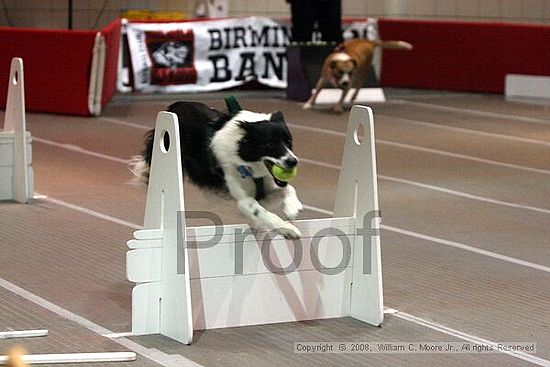 Birmingham Bandits Summer Shootout<br />June 29th, 2008<br />Bessemer Civic Center<br />Bessemer Al