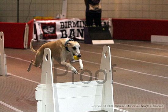 Birmingham Bandits Summer Shootout<br />June 29th, 2008<br />Bessemer Civic Center<br />Bessemer Al