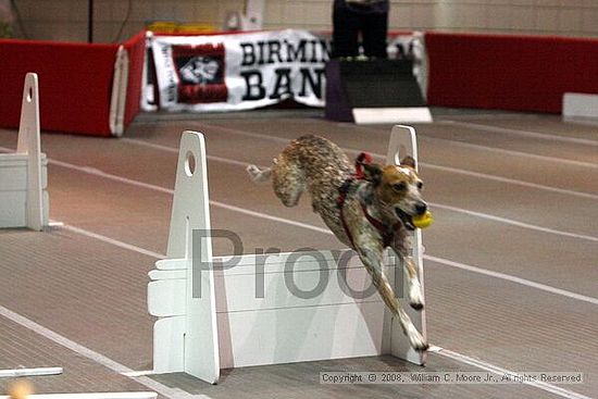 Birmingham Bandits Summer Shootout<br />June 29th, 2008<br />Bessemer Civic Center<br />Bessemer Al