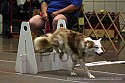 img_3771_thm.jpg