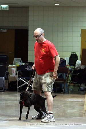 Birmingham Bandits Summer Shootout<br />June 29th, 2008<br />Bessemer Civic Center<br />Bessemer Al