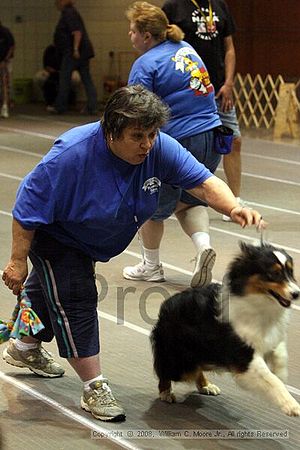 Birmingham Bandits Summer Shootout<br />June 29th, 2008<br />Bessemer Civic Center<br />Bessemer Al