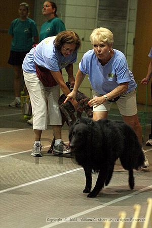 Birmingham Bandits Summer Shootout<br />June 29th, 2008<br />Bessemer Civic Center<br />Bessemer Al