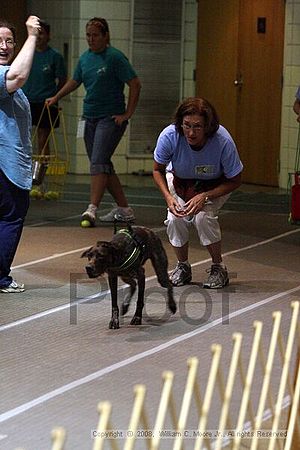 Birmingham Bandits Summer Shootout<br />June 29th, 2008<br />Bessemer Civic Center<br />Bessemer Al