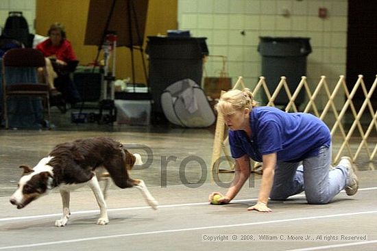 Birmingham Bandits Summer Shootout<br />June 29th, 2008<br />Bessemer Civic Center<br />Bessemer Al