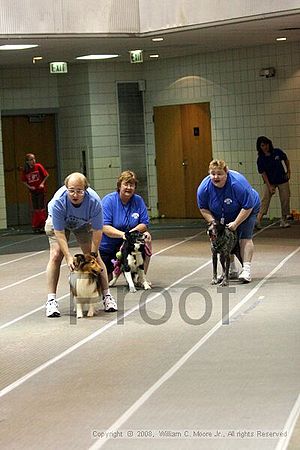 Birmingham Bandits Summer Shootout<br />June 29th, 2008<br />Bessemer Civic Center<br />Bessemer Al