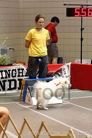 Birmingham Bandits Summer Shootout<br />June 29th, 2008<br />Bessemer Civic Center<br />Bessemer Al