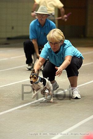 Birmingham Bandits Summer Shootout<br />June 29th, 2008<br />Bessemer Civic Center<br />Bessemer Al