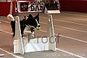 img_4018_thm.jpg