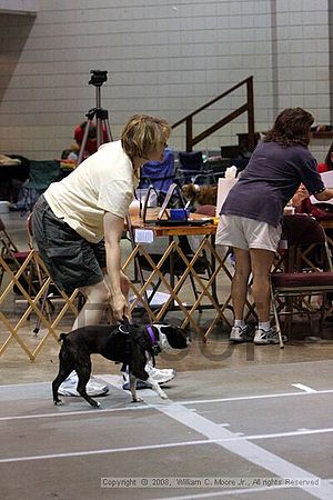Birmingham Bandits Summer Shootout<br />June 29th, 2008<br />Bessemer Civic Center<br />Bessemer Al