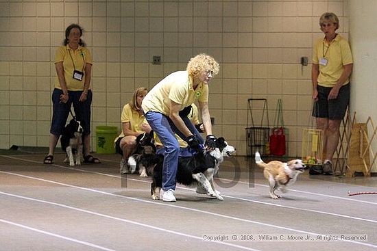 Birmingham Bandits Summer Shootout<br />June 29th, 2008<br />Bessemer Civic Center<br />Bessemer Al