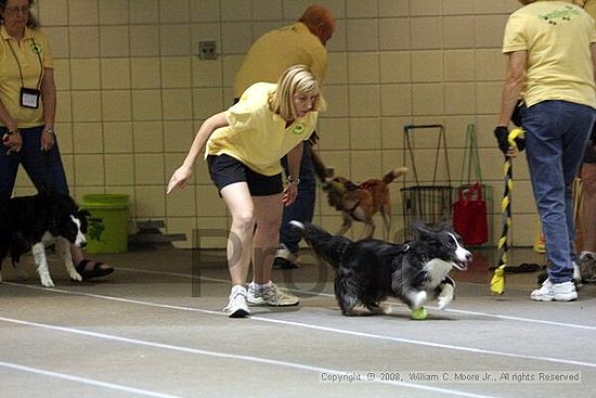 Birmingham Bandits Summer Shootout<br />June 29th, 2008<br />Bessemer Civic Center<br />Bessemer Al