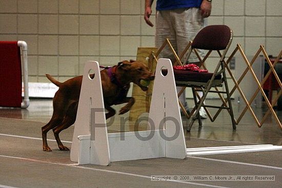 Birmingham Bandits Summer Shootout<br />June 29th, 2008<br />Bessemer Civic Center<br />Bessemer Al