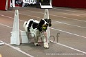 img_4089_thm.jpg