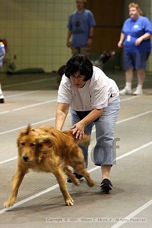 Birmingham Bandits Summer Shootout<br />June 29th, 2008<br />Bessemer Civic Center<br />Bessemer Al