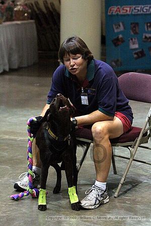 Birmingham Bandits Summer Shootout<br />June 29th, 2008<br />Bessemer Civic Center<br />Bessemer Al