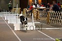 img_4101_thm.jpg