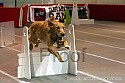 img_4126_thm.jpg