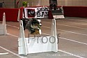 img_4162_thm.jpg