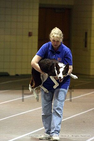 Birmingham Bandits Summer Shootout<br />June 29th, 2008<br />Bessemer Civic Center<br />Bessemer Al