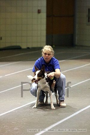 Birmingham Bandits Summer Shootout<br />June 29th, 2008<br />Bessemer Civic Center<br />Bessemer Al