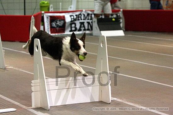 Birmingham Bandits Summer Shootout<br />June 29th, 2008<br />Bessemer Civic Center<br />Bessemer Al