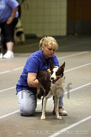 Birmingham Bandits Summer Shootout<br />June 29th, 2008<br />Bessemer Civic Center<br />Bessemer Al