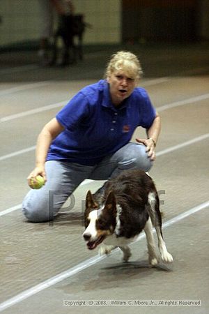 Birmingham Bandits Summer Shootout<br />June 29th, 2008<br />Bessemer Civic Center<br />Bessemer Al