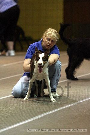 Birmingham Bandits Summer Shootout<br />June 29th, 2008<br />Bessemer Civic Center<br />Bessemer Al