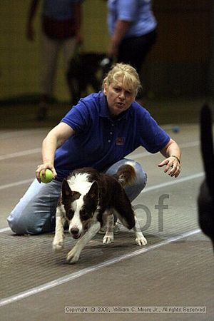 Birmingham Bandits Summer Shootout<br />June 29th, 2008<br />Bessemer Civic Center<br />Bessemer Al
