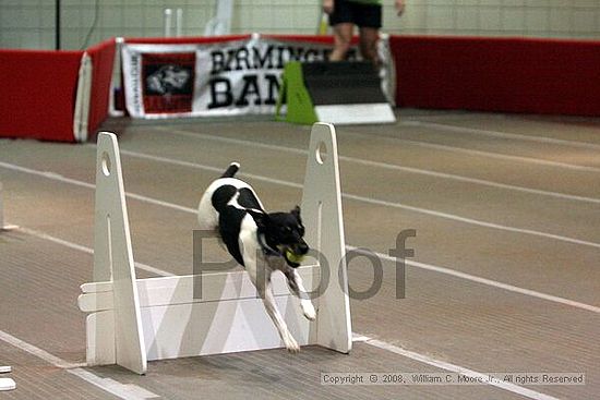 Birmingham Bandits Summer Shootout<br />June 29th, 2008<br />Bessemer Civic Center<br />Bessemer Al
