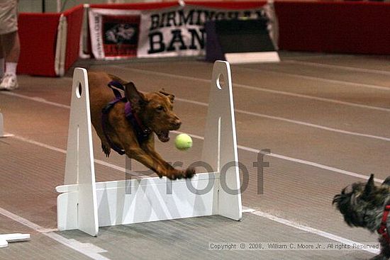 Birmingham Bandits Summer Shootout<br />June 29th, 2008<br />Bessemer Civic Center<br />Bessemer Al