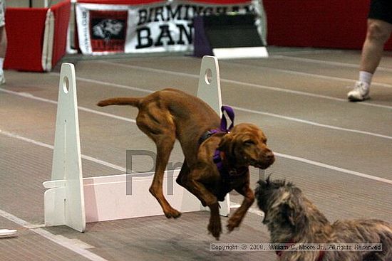 Birmingham Bandits Summer Shootout<br />June 29th, 2008<br />Bessemer Civic Center<br />Bessemer Al
