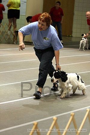 Birmingham Bandits Summer Shootout<br />June 29th, 2008<br />Bessemer Civic Center<br />Bessemer Al