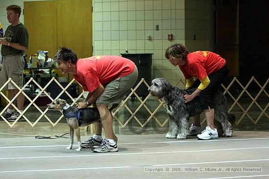 Birmingham Bandits Summer Shootout<br />June 29th, 2008<br />Bessemer Civic Center<br />Bessemer Al