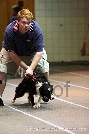 Birmingham Bandits Summer Shootout<br />June 29th, 2008<br />Bessemer Civic Center<br />Bessemer Al