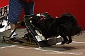 img_4270_thm.jpg