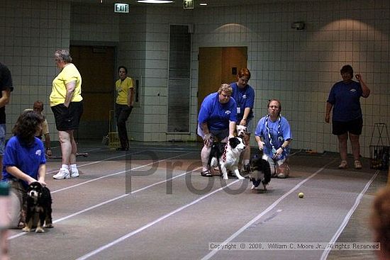 Birmingham Bandits Summer Shootout<br />June 29th, 2008<br />Bessemer Civic Center<br />Bessemer Al