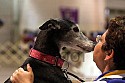 img_3561_thm.jpg