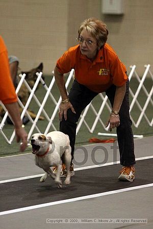 Dawg Derby Flyball Tournement<br />July 11, 2009<br />Classic Center<br />Athens, Ga