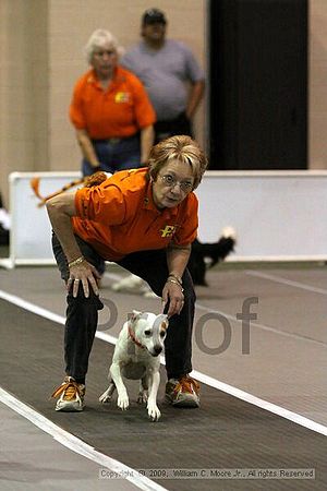 Dawg Derby Flyball Tournement<br />July 11, 2009<br />Classic Center<br />Athens, Ga