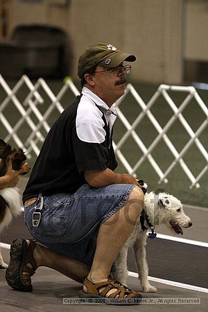 Dawg Derby Flyball Tournement<br />July 11, 2009<br />Classic Center<br />Athens, Ga