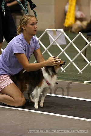 Dawg Derby Flyball Tournement<br />July 11, 2009<br />Classic Center<br />Athens, Ga