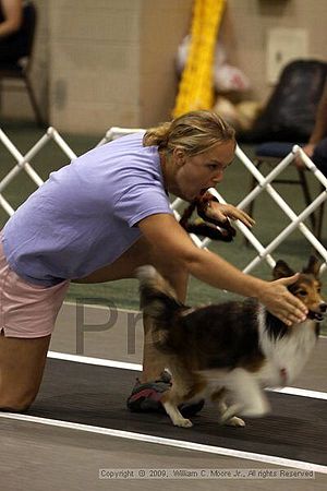 Dawg Derby Flyball Tournement<br />July 11, 2009<br />Classic Center<br />Athens, Ga