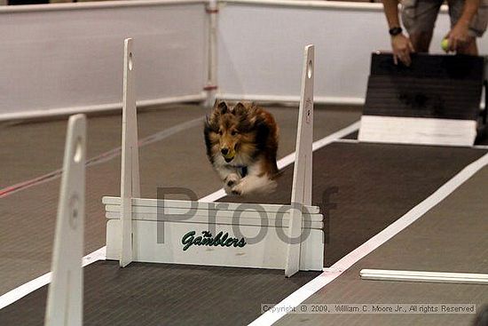 Dawg Derby Flyball Tournement<br />July 11, 2009<br />Classic Center<br />Athens, Ga