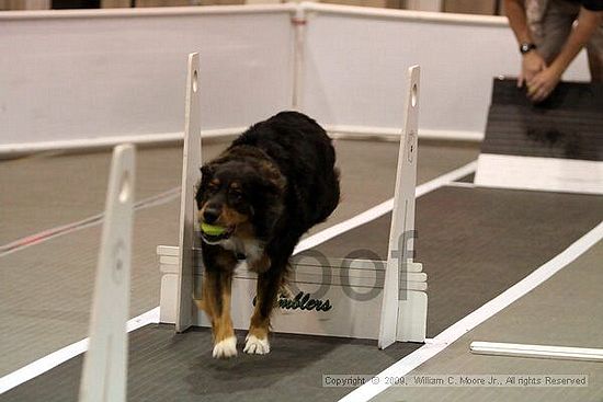 Dawg Derby Flyball Tournement<br />July 11, 2009<br />Classic Center<br />Athens, Ga