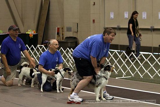 Dawg Derby Flyball Tournement<br />July 11, 2009<br />Classic Center<br />Athens, Ga