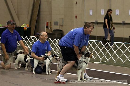 Dawg Derby Flyball Tournement<br />July 11, 2009<br />Classic Center<br />Athens, Ga